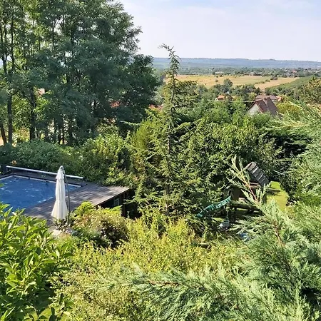 Panoramic View Of Budapest - Aquarena, Ecar Option *